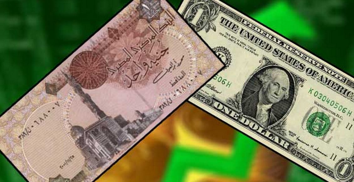 سعر الدولار اليوم في مصر الثلاثاء 24/11/2020 والوضع ما زال مستقر